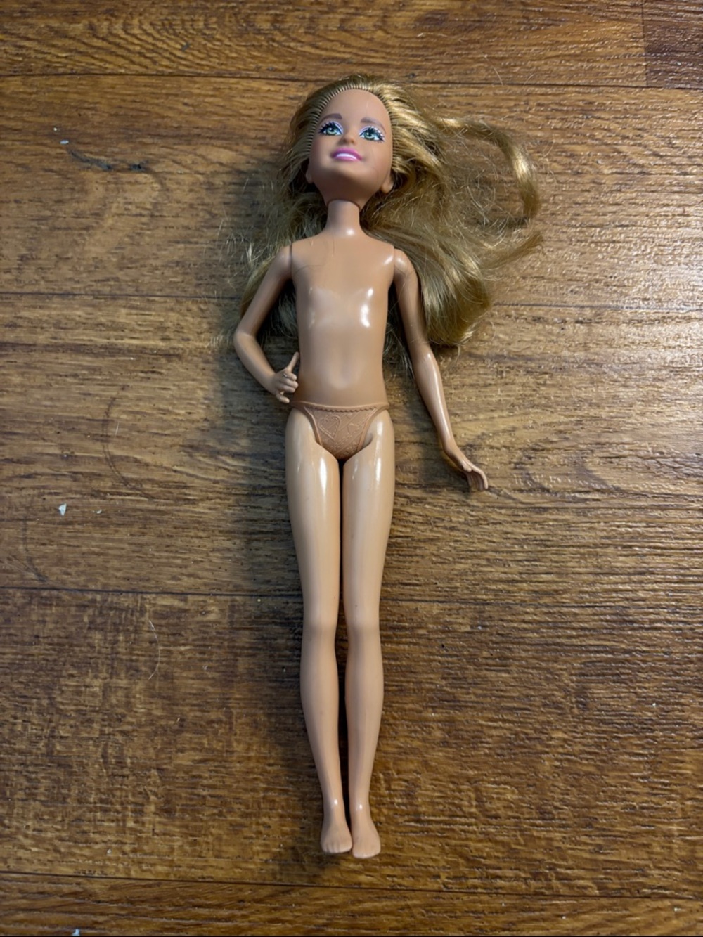 Mattel Barbie 2011 Barbie’s Sister Stacie Doll